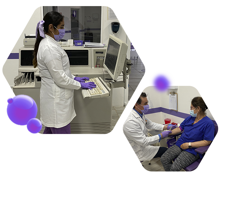 Servicios labmat