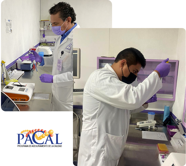 Labmate-6